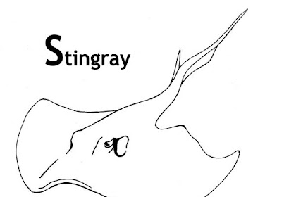 stingray coloring page Stingray stingrays xcolorings momjunction