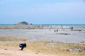 beach, Henza, island, ocean, low tide, rocks, procession, festival, Sanguacha