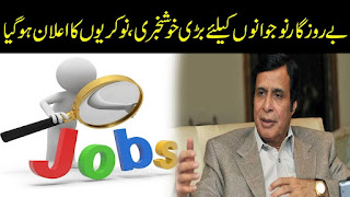 Chief Minister Stunning Reduction Program Punjab Jobs 2022 - CMSRP Jobs 2022 - www.irmnch.gop.pk 2022 Jobs