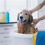 Si amas a tu perro y cuidar de su bienestar y salud, es recomendable comprar champú para perros natural para dar a su perro un baño en lugar de usar su propia botella de shampoo o acondicionador. 