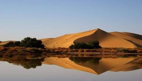 الطبيعة في تيميمون بصحراء الجزائر