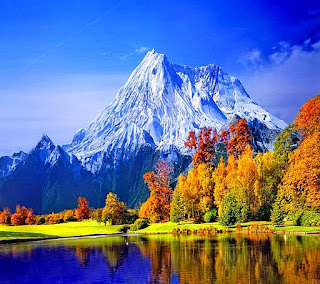 Beautifull Green Nature HD Desktop Wallpaper Photos