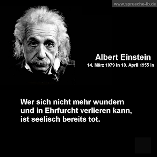 albert einstein sprüche