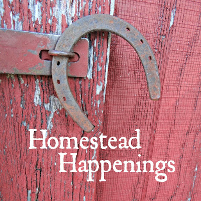 Homestead Happenings #3