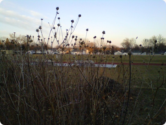 IMG00120-20110301-1737
