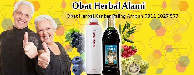 Jual Obat Terapi Kanker Alami 0821 6527 7053/0811 202 7577