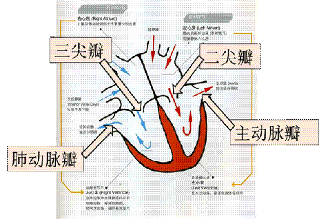 clip_image002