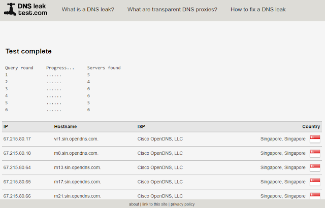 dns leak test