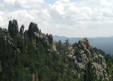 Along Needles Highway