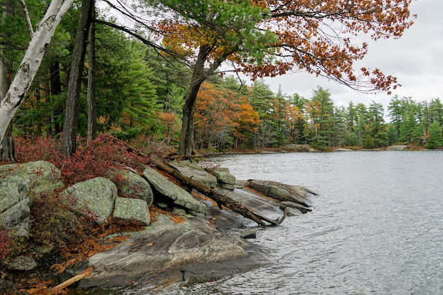 Hardy Lake and surrounding forest in Hardy Lake Provincial Park