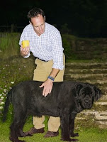 dog health care | big black dog syndrome