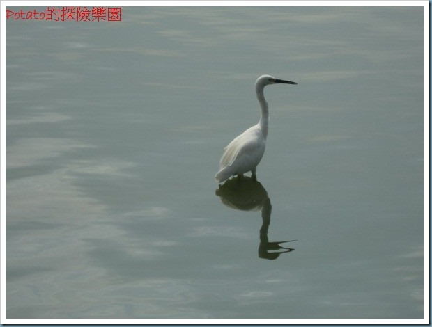 DSCN9712
