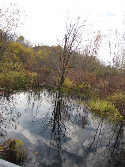 Lincoln River Michigan