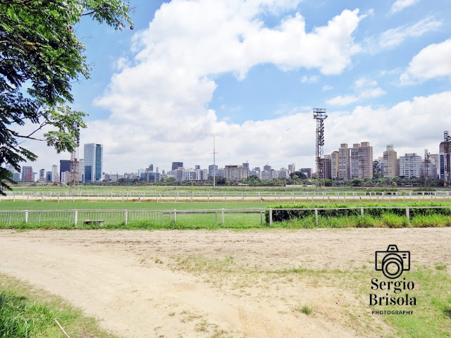 Vista ampla de parte das pistas de corrida na parte central do complexo do Jockey Club de São Paulo