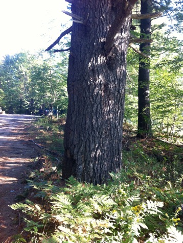 IMG_1759-2012-11-30-12-16.jpg