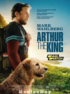  Arthur The King (Hindi) 2024 Watch Online & Download 