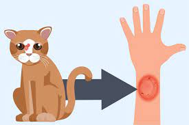 Ringworm