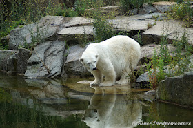 Zoo Berlin