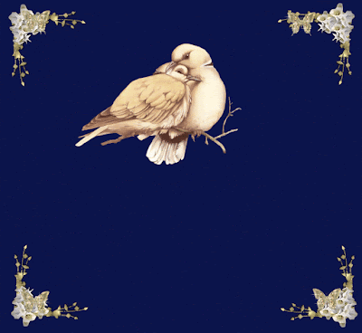 Animated gif image of pair of bird