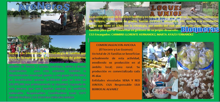 PROYECTOS PRODUCTIVOS SAN PELAYO