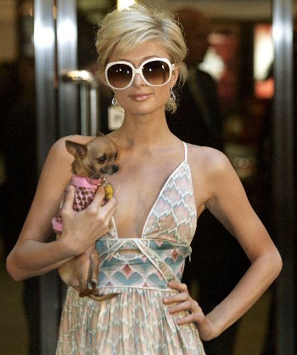 blind download hilton mp3 paris star. Paris Hilton - I Need You.mp3