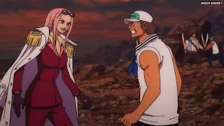 ワンピース劇場版 スタンピード ヒナ | ONE PIECE MOVIE STAMPEDE