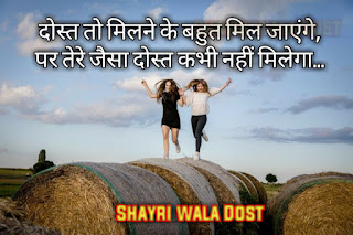 Best plus Friendship shayari in hindi|फ्रेंडशिप शायरी इन हिंदी