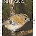 1988 - Guiana - Regulus regulus