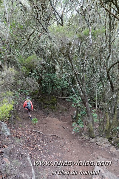 Sendero de los Sentidos - Sendero de los Enigmas