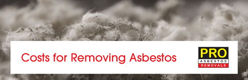 Image How Much Is Asbestos Removal Cost