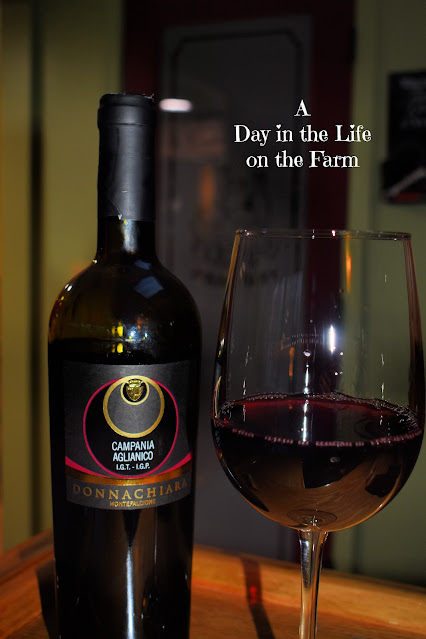 Aglianico Wine