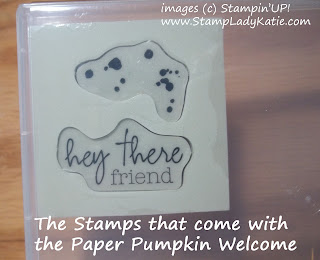 the stamps from the My Paper Pumpkin Welcome Kit