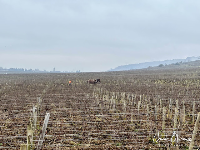 idée pour virée Bourgogne