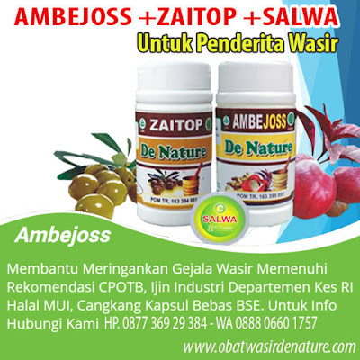 Obat Herbal Penyakit  Ambeien