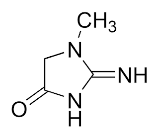 high creatinine level