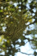 IMG_9402