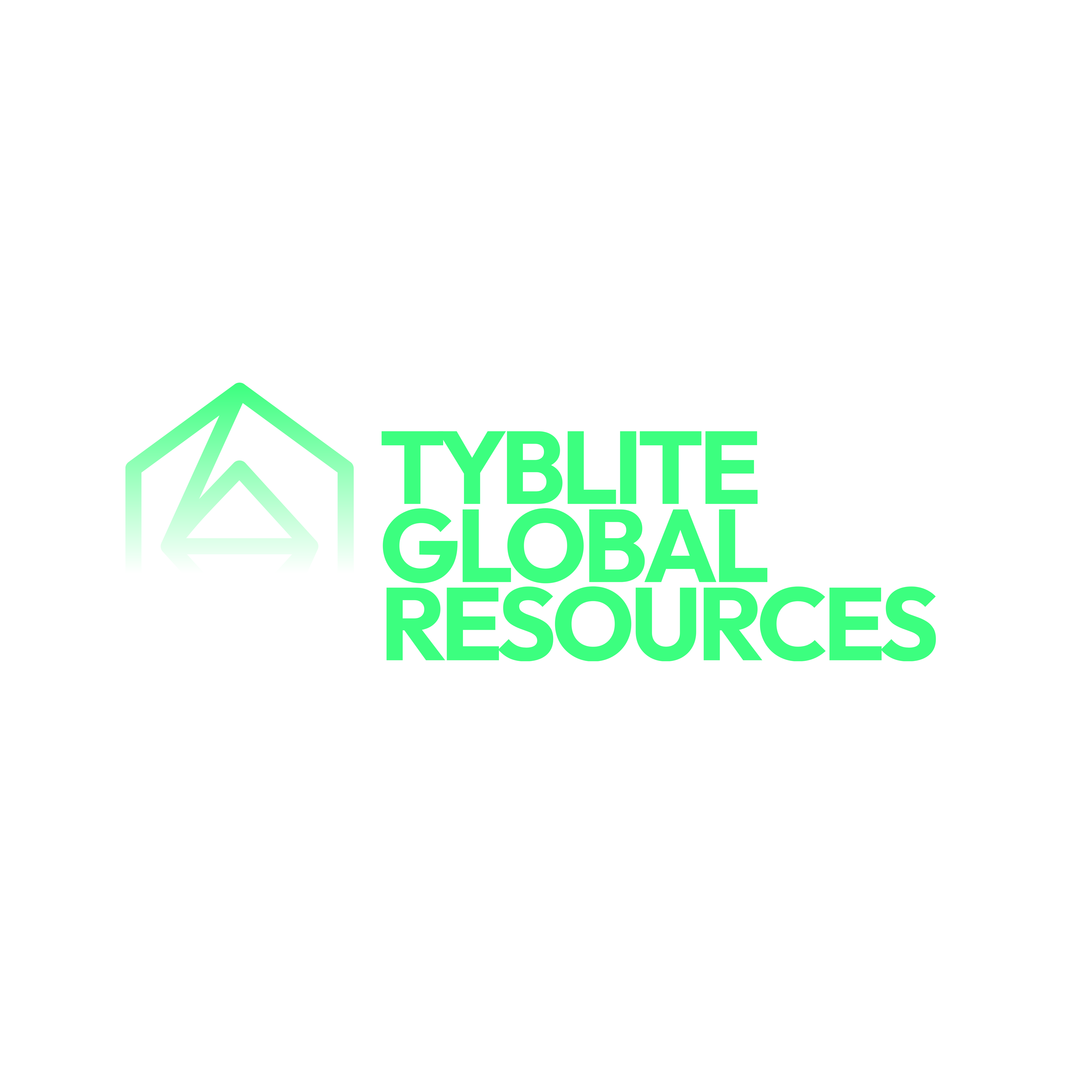 TYBLITE GLOBAL RESOURCES 