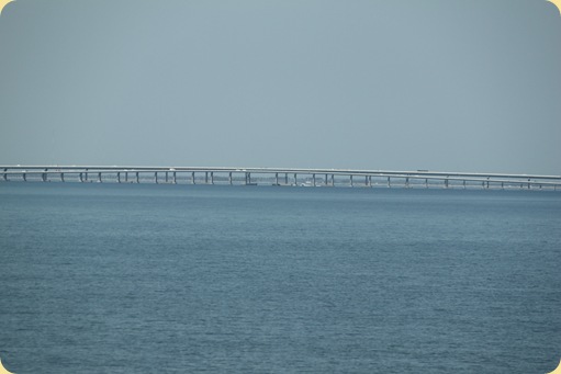 St. Petersburg, FL 002