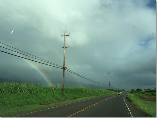 Hawaii 174