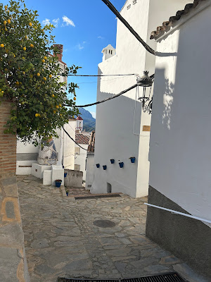 Photo of a winding street in Genalguacil