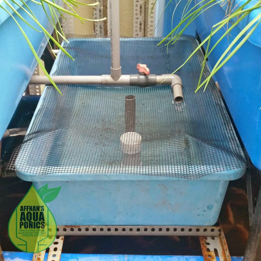 Aquaponics Siphons