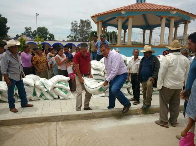 Edil de MORENA favorece a campesinos de su partido