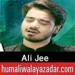 https://www.humaliwalayazadar.com/2015/07/ali-jee-nohay-2007-to-2016.html