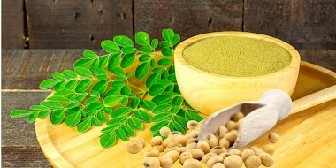 Potensi Kandungan Zat Besi Pada Daun Kelor (Moringa oleifera) dan Biji Kedelai (Glycine max) sebagai Anti Anemia Alami