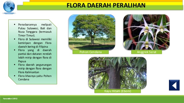  Flora  di Indonesia bagian  Barat Timur  dan  Tengah