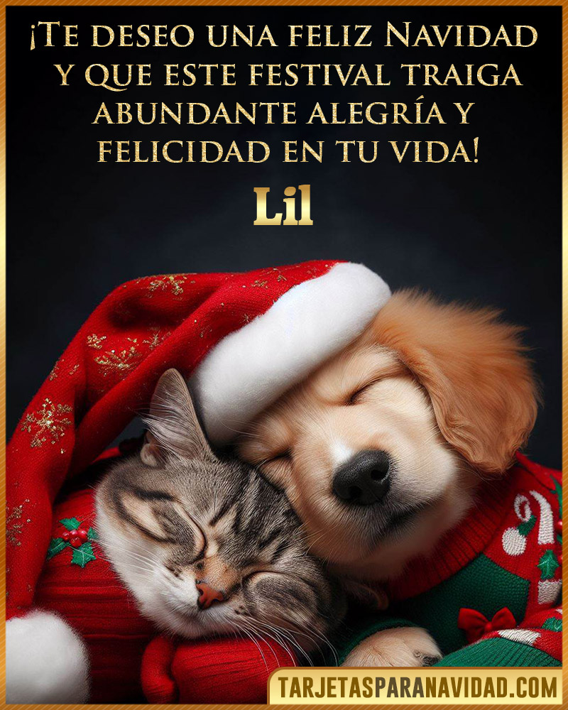 Postales de navidad para Lil