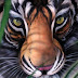 BODY PAINTING The Last South China Tiger