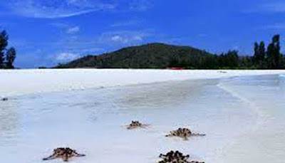 Pantai Ngurtafur