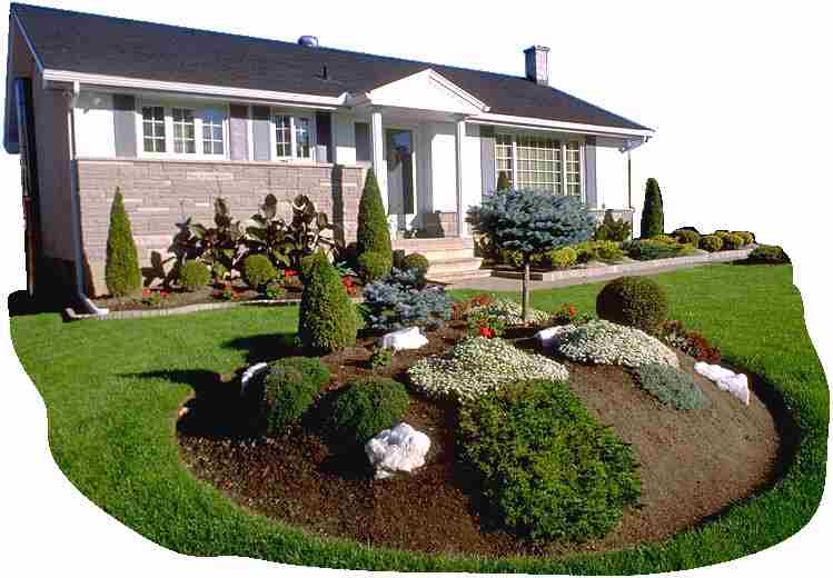 Landscape Design,Landscape