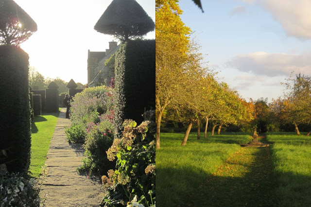 Boy photo-ing a floral border, view across the orchard